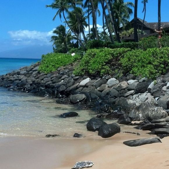 Meet your Posher, Dawn - Picture 1 of 1